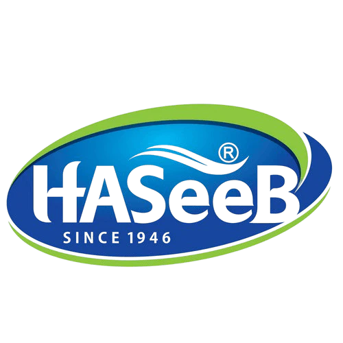 HASEEBB